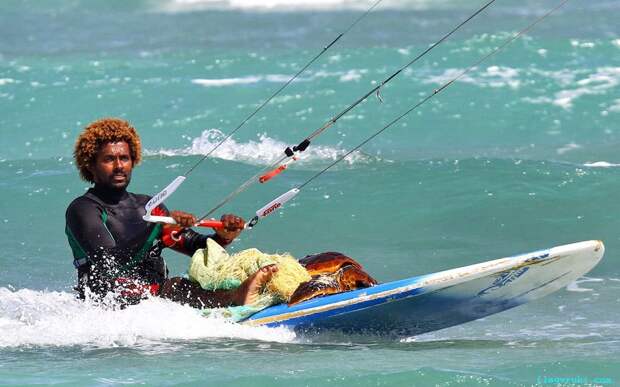 Чемпион мира по кайтсерфингу Миту Монтейро спас черепаху во время тренировки у береговой линии Серра-Негра-Бич на острове Сал, Каба-Верде, Африка.
