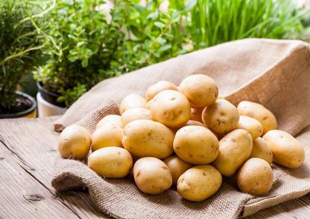 Привычные нам продукты, которых в будущем может уже и не быть