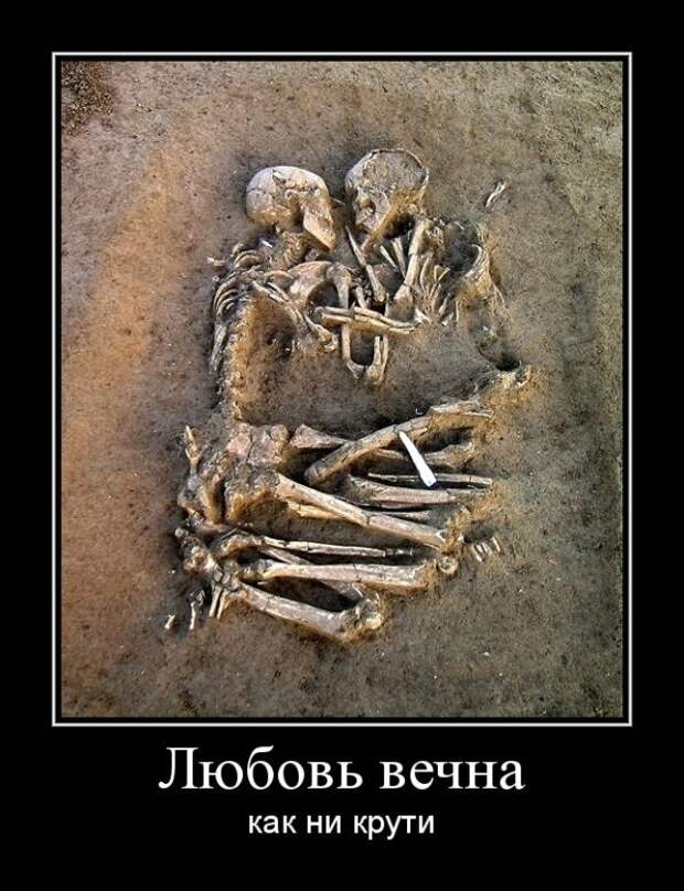 Демотиваторы ко дню влюбленных (50 фото)