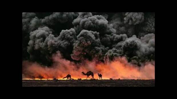 Пожар в Аль-Мишрак природа, человек, экологические бедствия