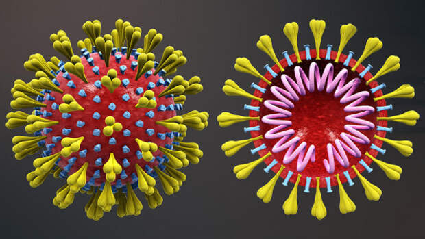 Распространение коронавируса в мире. Последние данные