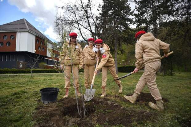 В Майкопе в память о погибших в годы войны высадят 200 саженцев