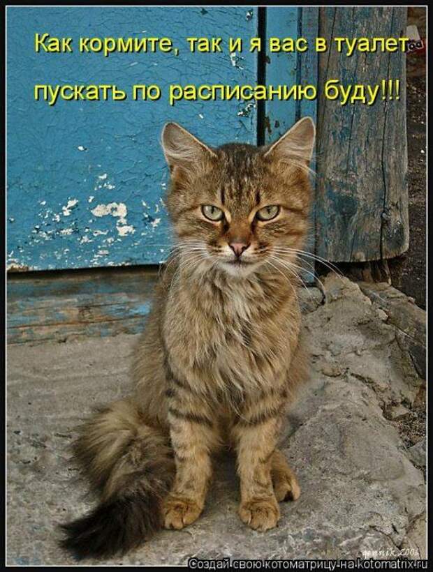 Мысли вслух :)