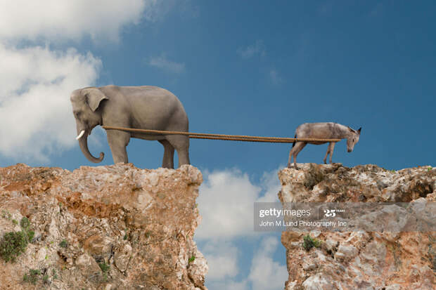 Donkey-Elephant-Tug Donkey-Elephant-Tug
