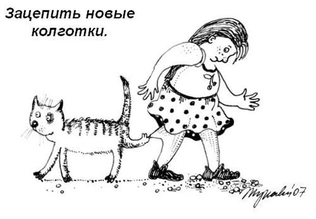 Кошачий пост жизнь кота, кот