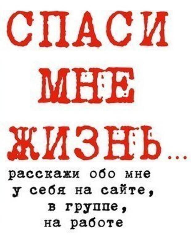 Приютите ангелочков! Хотя бы временно! Этим вы сохраните их жизни!!!