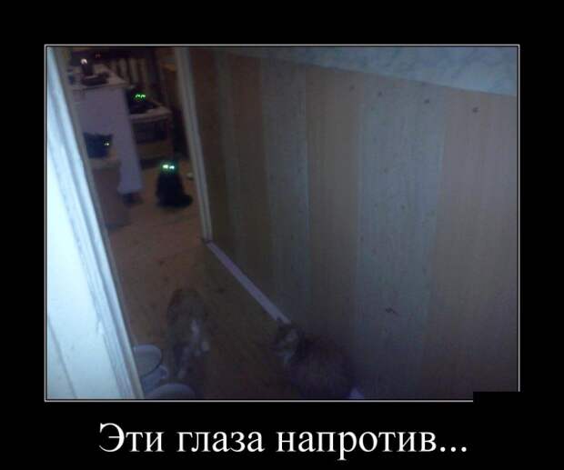 Демотиваторы (30 фото)