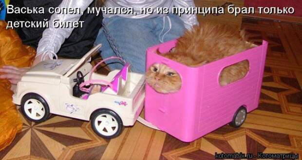 Мысли вслух :)