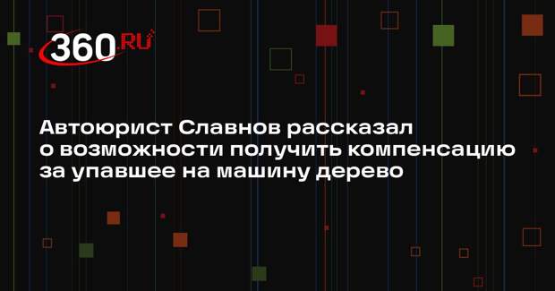 Автоюрист Славнов рассказал о возможности получить компенсацию за упавшее на машину дерево