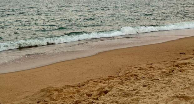 В Колпино к сентябрю благоустроят пляж "Детский"