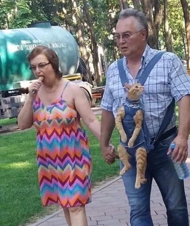 WTF?