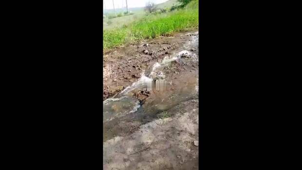 Video: com.bongasoft.addremovewatermark_VID_20250504_222034_977.mp4
