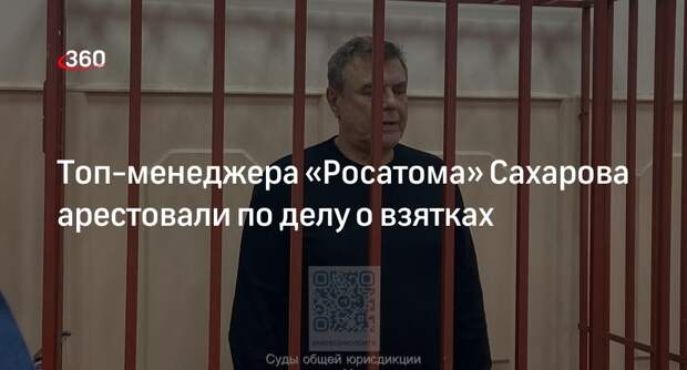 Басманный суд арестовал топ-менежера «Росатома» Сахарова на два месяца