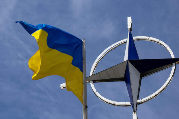 Шольц допустил, что Украина может не вступить в НАТО в ближайшие 30 лет