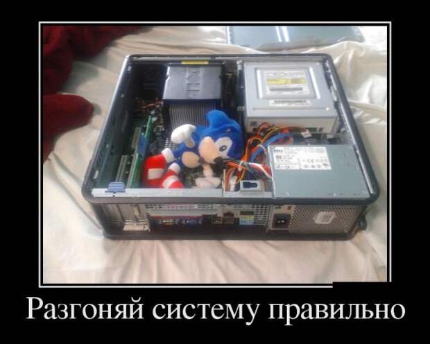 Демотиваторы свежие и веселые для настроения (11 фото)