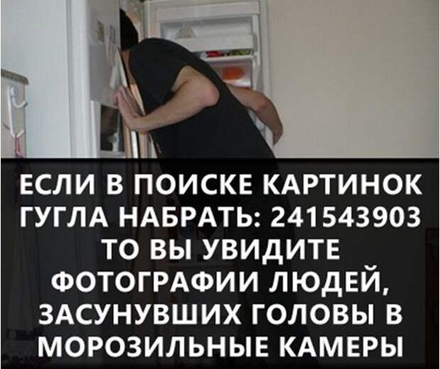 Удивительные факты в мире, факты