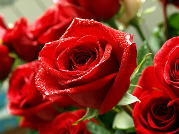 В букеты, как правило, включают очень красивые розы, часто они редких сортов
