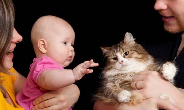 котик с ребенком