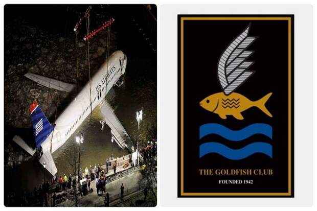 Существует всемирная ассоциация, известная как "Клуб золотых рыбок". Объединяющая летчиков, выживших в авиакатастрофах на воде с помощью спасательного жилета или плавучего средства.
