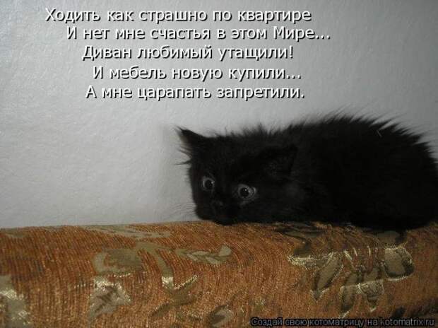 Мысли вслух :)