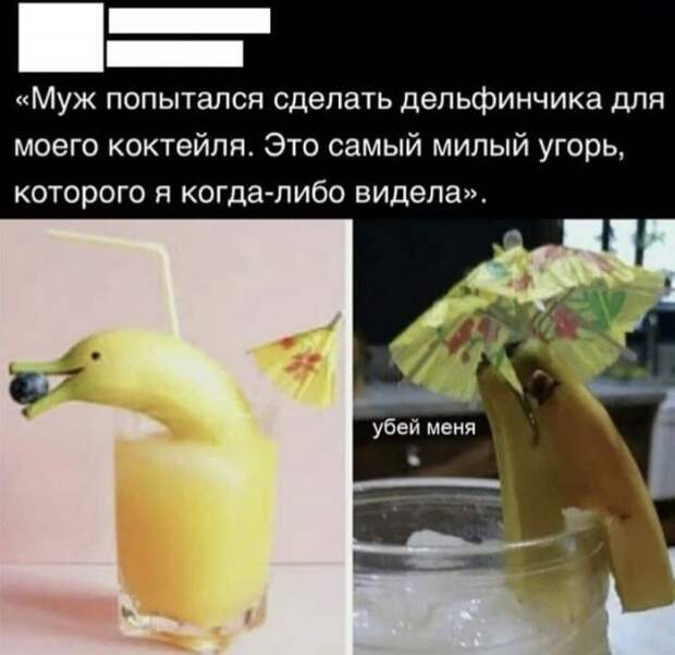 Лучшие шутки и мемы из Сети