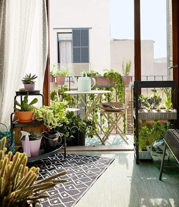 Вьющиеся растения — отличный выбор для оформления балконов. Ведь их свисающие, каскадные побеги способны создать поистине волшебную, романтичную атмосферу.-1-2