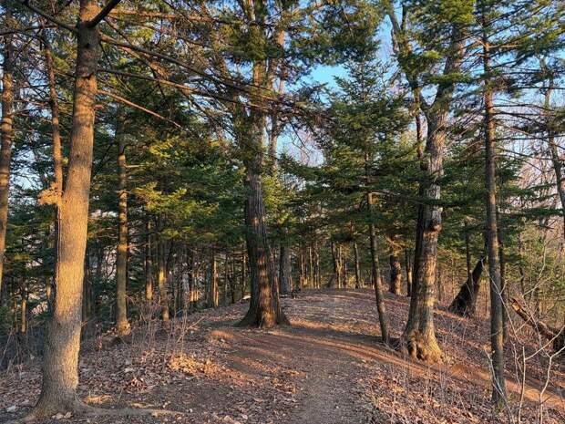 Где погулять в лесу во Владивостоке? Выбирайте из ТОП-5