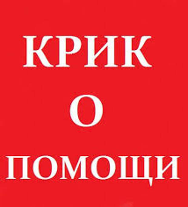 Умоляем, очень просим вас о помощи!!!