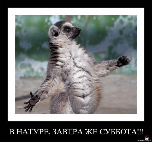 Демотиваторы и мотиваторы. Демки пятница Демотиваторы и мотиваторы. Демки пятница