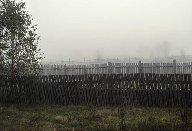 fences in the fog by Janusz Kanabus on 500px.com