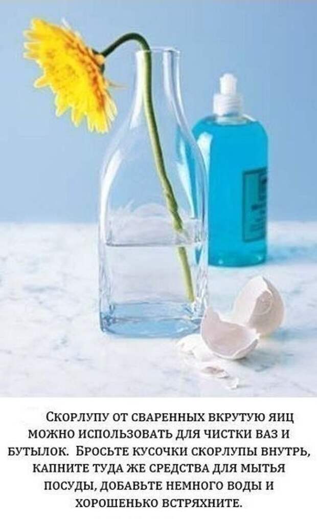 хитрости жизни
