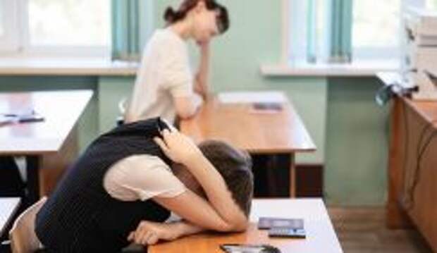 Сергей Комков - про "три веселых буквы": Институт репетиторства теперь виляет всей сферой образования, как хвост собакой