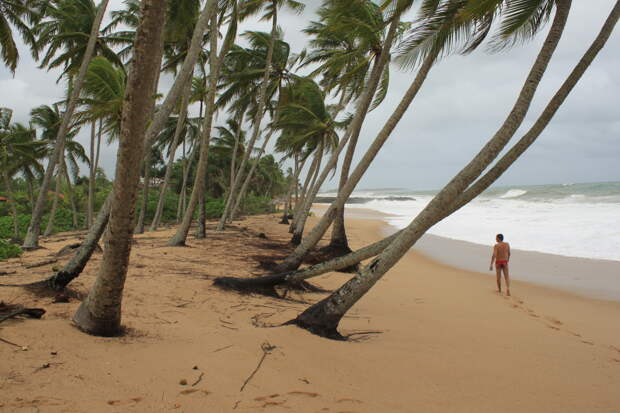 Пляжный отдых на Шри Ланке: Унаватуна