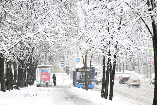 Аномальные снегопады в апреле объяснили