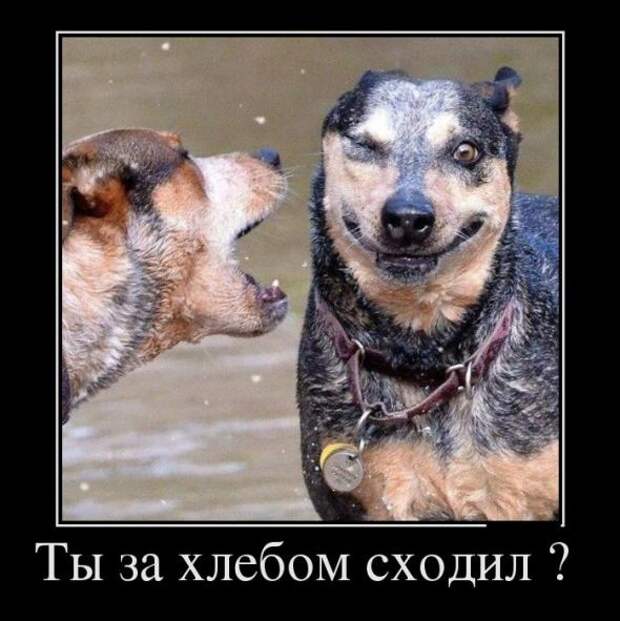 Новые прикольные демотиваторы июня