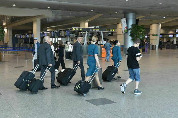 Торги по продаже аэропорта Домодедово не состоялись