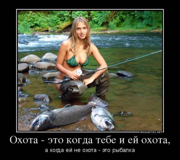 Демотиваторы 02.09.2014