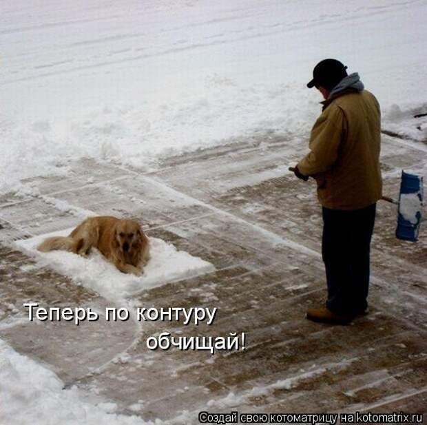 Котоматрица - Теперь по контуру обчищай!