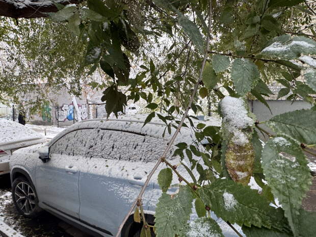 Москву накроет ледяной дождь