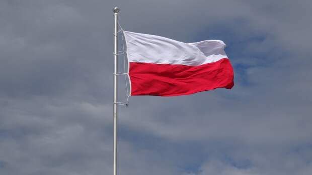 MP: Польша поставит под угрозу жизни поляков, разместив ядерное оружие США