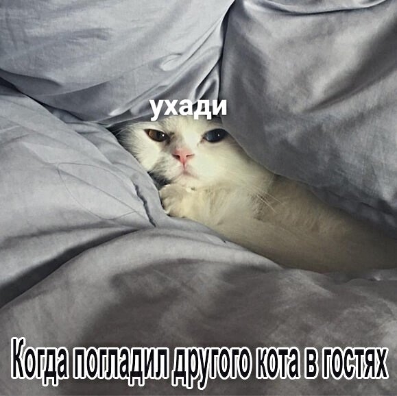 Картинки с надписями