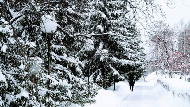 До -14. О погоде в Барнауле 4 февраля