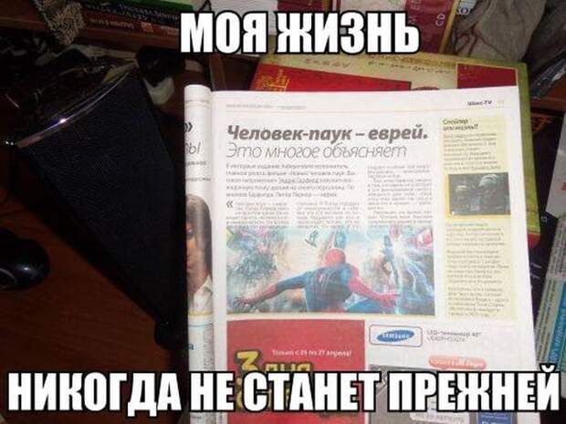 Смешные картинки с подписями  юмор, картинки, прикол