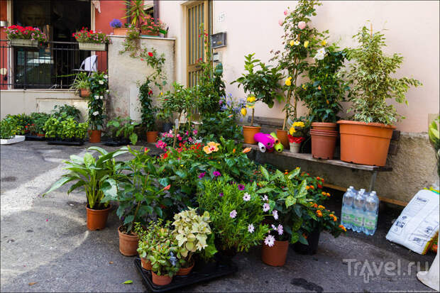 Manarola - прогулка по городу / Фото из Италии