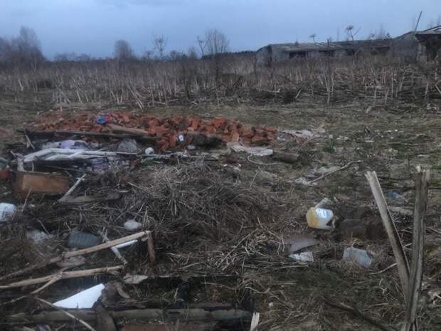 Жителей Тверской области обеспокоили свалки возле деревень