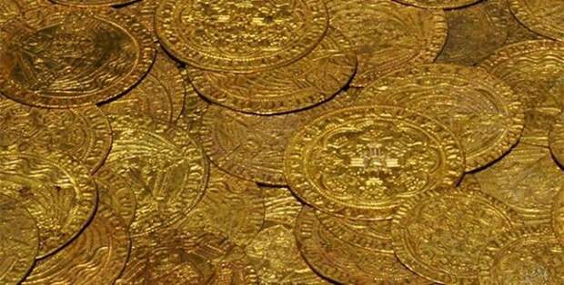 интересное, планета, жизнь, животные, люди, факты