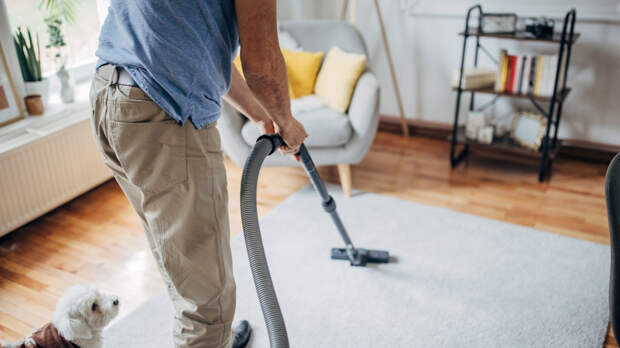 Врач Еделев: подготовка квартиры к сезону аллергии начинается с уборки ковров и замены подушек