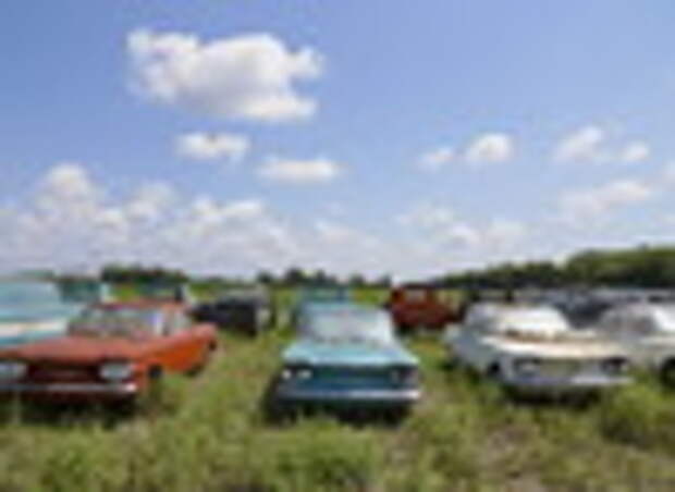 В Небраске проданы 500 винтажных Chevrolet, найденных в поле