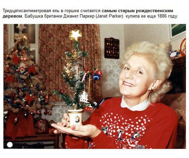 Новогодние рекорды Гиннесса (17 фото)