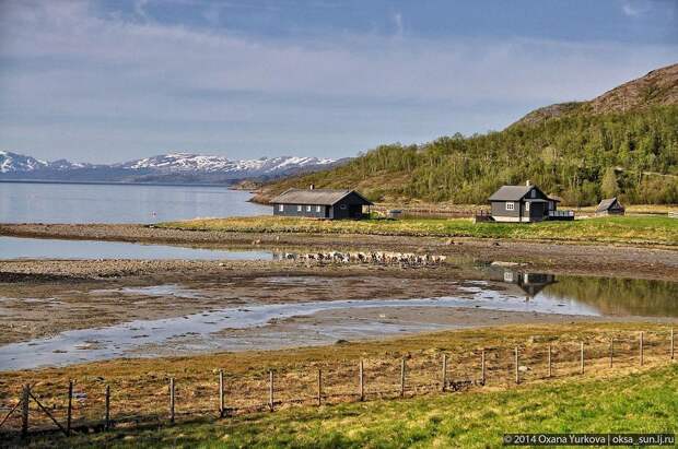 Заполярная Норвегия Norway19 Заполярная Норвегия